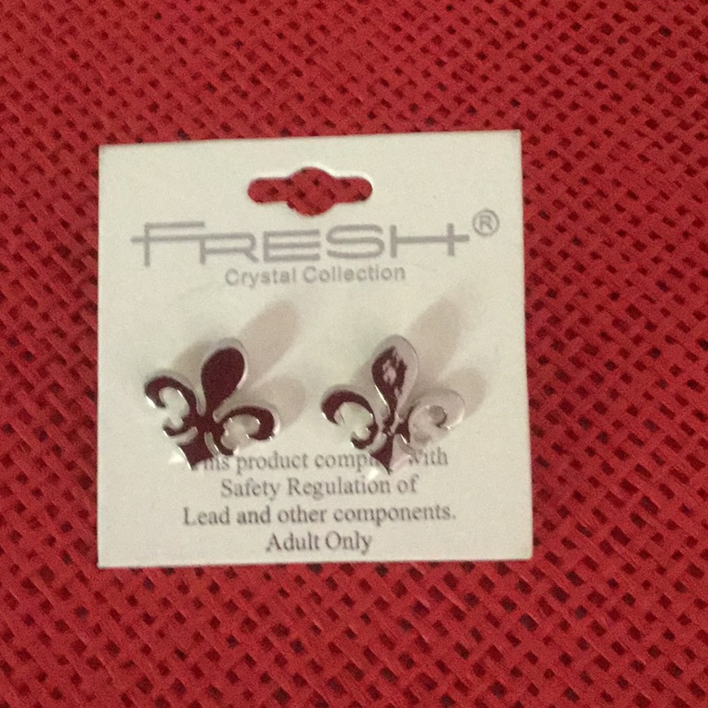 Jewelry earrings